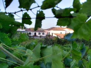 Casa Vacanze Etna