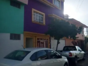 Puebla Purpura