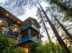 goSTOPS Kasol