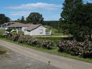 Villages of mountain Gap Cottages