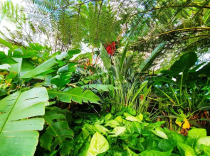 2BR Food Drink Hub Pool 2 Cars Gym Rooftop