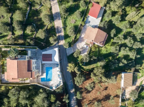 Apollon Apartments