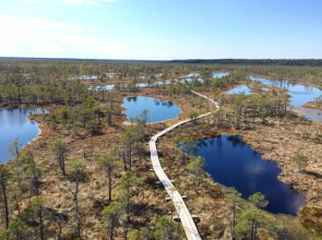 Apartment at skolas street 65 b