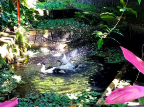 Villa Cachoeira da Rocha