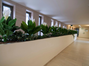 Corvin Center Suites