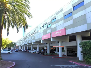 Palms Place One Bedroom Suite 1220 sqft