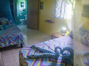 Go Natural Jamaica Retreats
