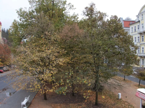 Penzion a restaurace U Pidly