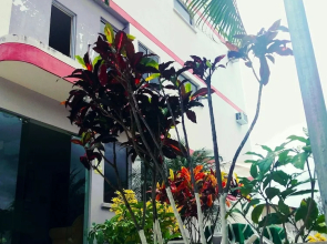 Hotel Salduba