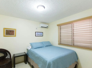 New Kingston Guest Apartment IV
