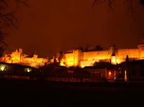 Les Palmiers de la Cit