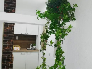TOP 3 Apartments