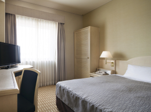 Hotel Nikko Narita