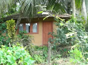 Rural Jungle Backpackers Hostel