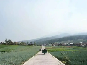 Hortus Inn Tawangmangu
