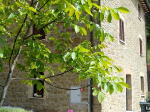Agriturismo Il Noceto