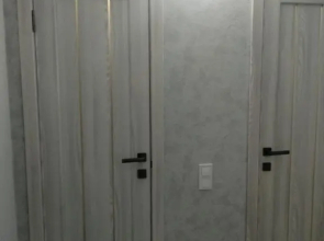 Двухкомнатная квартира на Алексеевке