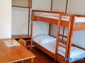 Cottage Blueberry near Macha Lake