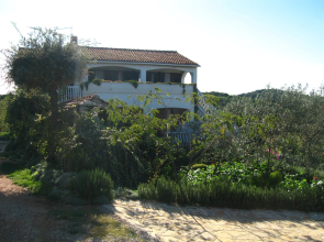 Studio apartment Lado - 230 m from sea: SA3 Muline, Island Ugljan