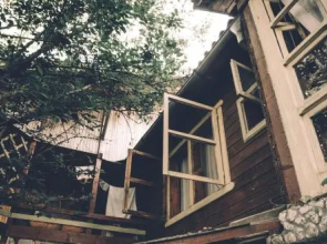 Pura Vida Beach Hostel