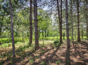 Wadena Vacation Rental ~ 1 Mi to Downtown!