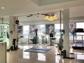 Top High Airport Link Hotel