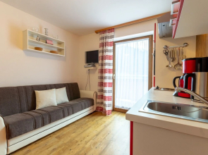 Spacious Holiday Home in Niedernsill With Garden
