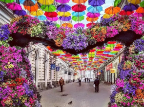 Rox Central Apartments