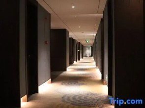 Till Bright Hotel