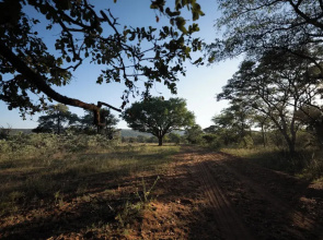 Room in Lodge - Mmakuba Private Game Lodge, Two Bedroom Villa 2