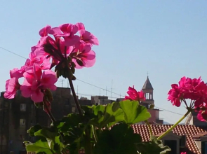 Apartment Spalatina