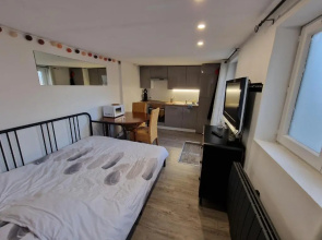 Studio quartier marais, terrasse rez de chaussée, jardin accessible, netflix