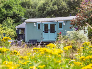 The Shepherd's Hut