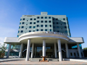 Hotel AreaOne Hiroshima Wing