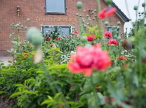 B&B Groot Pepersgoed