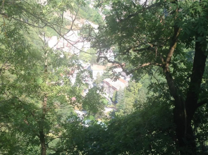 Borjomi Plato Hostel