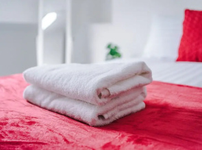 A-K Apartments - Spacious 4 Bedroom House, Central Location, Sleeps 8!