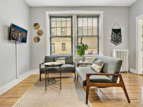 1BR Magnificent Apt in Belmont Chicago