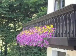 Ferien im HAUS HELGA in Steinbach am Attersee