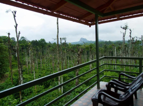 The Suvistara Wayanad Kerala