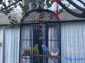 Big Beauty Homestay