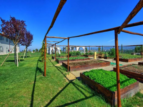 Il Sole di Vino