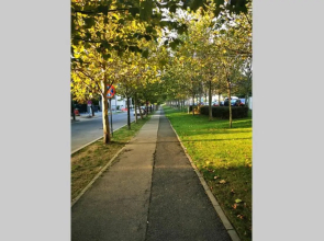 Herăstrău, Băneasa8