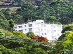 Tea Mount Suites