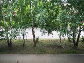 Калина на улице Мира 13