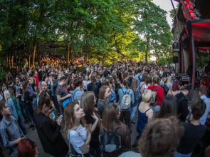 Downtown Forest Hostel & Camping