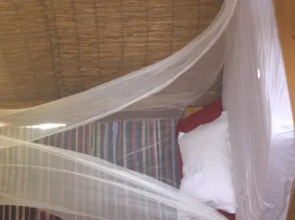 Back to Nature via the Bible