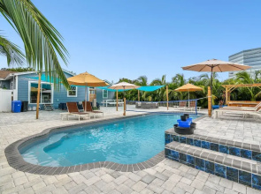 The Tampa Oasis
