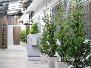 Baan Mai Guest House