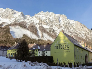 Mountain-view Styria Apartment